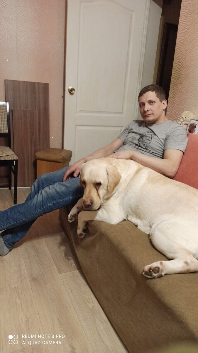 ���������� �����, ���� ������� ����, 36 ���, ������������ ��� ������, ����� � ���������