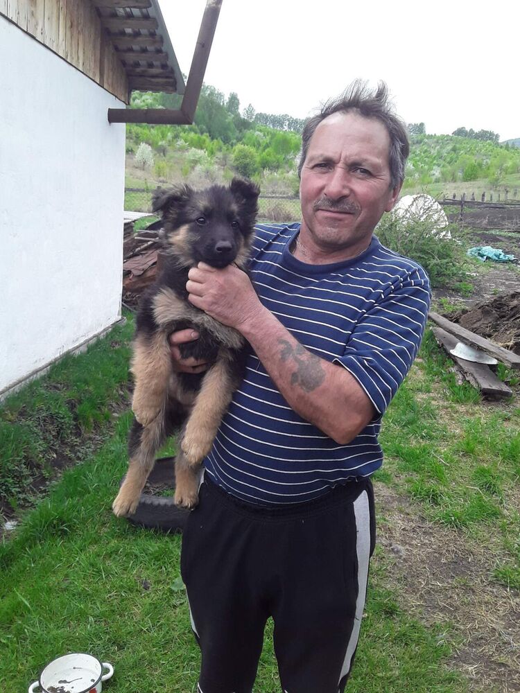 ���������� �����������, ���� ������� ����, 45 ���, ������������ ��� ������