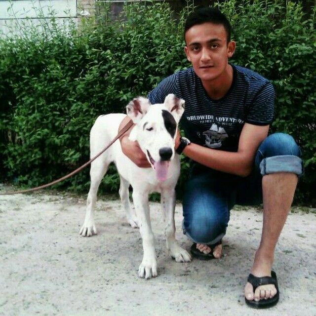 ���������� �������, ���� ������� Salim, 31 ���, ������������ ��� ������, ����� � ���������, c�������� ���������