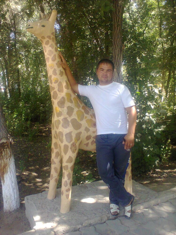  ,   998905574850, 38 ,   