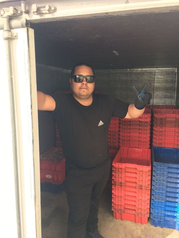 ���������� �����������, ���� ������� �����, 27 ���, ������������ ��� ������, ����� � ���������, c�������� ���������