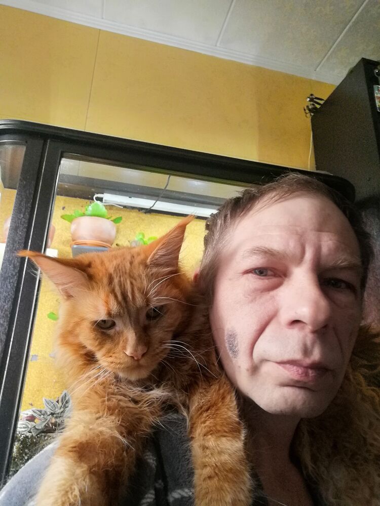 ���������� ������, ���� ������� ������, 50 ���, ������������ ��� ������, ����� � ���������