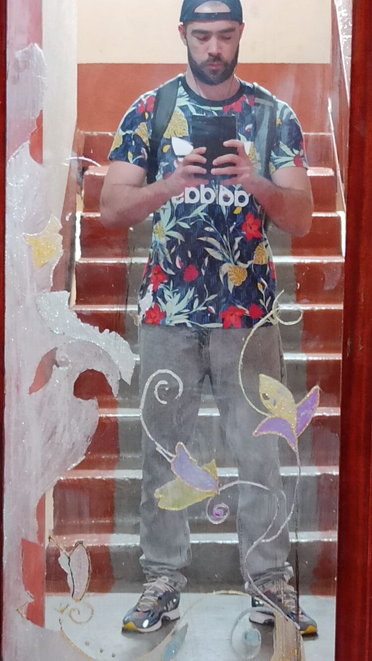  41873552  , 33 ,    