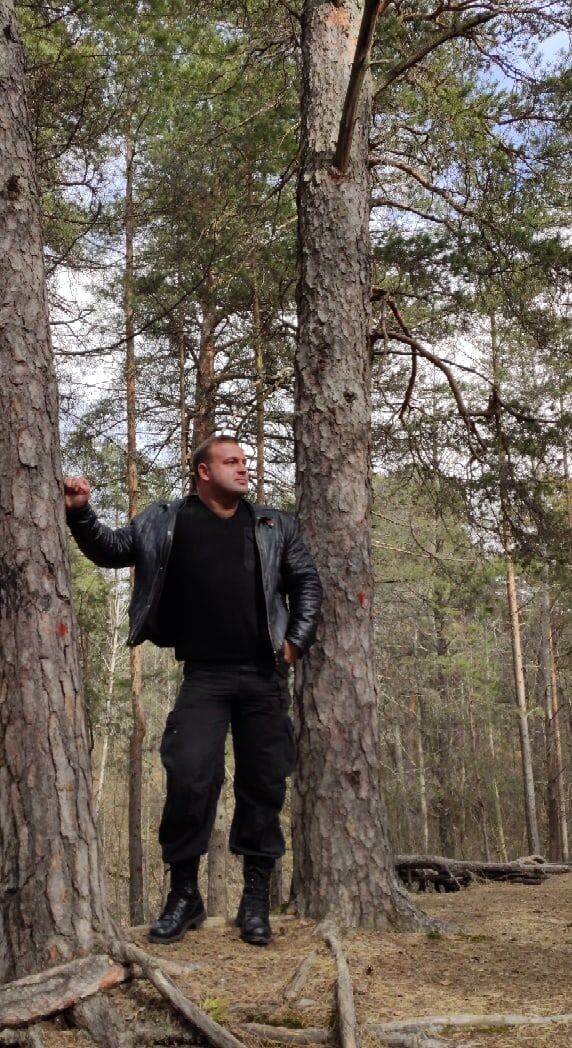  29357912  , 40 ,    -