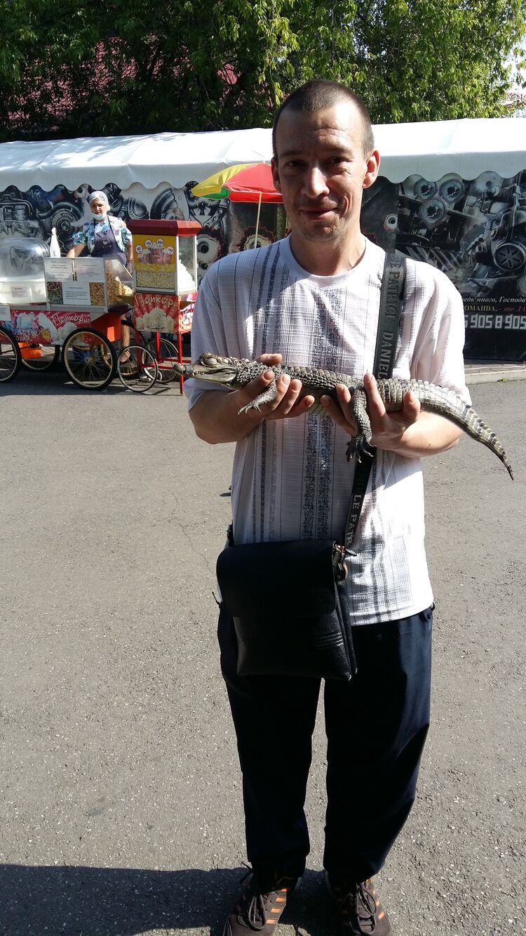  ,   , 38 ,   c 
