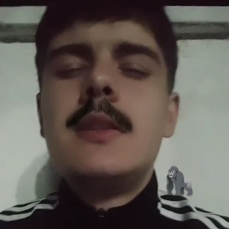 ���� 35616312 ������� ������, 29 ���, ���� ���������� � ������