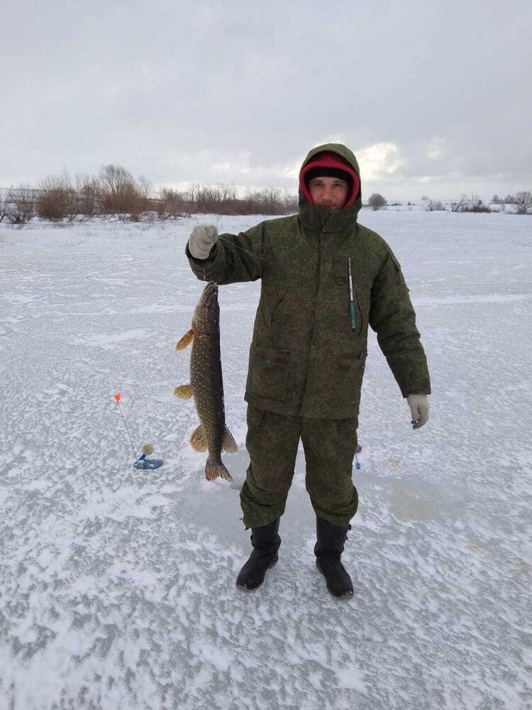 ���� 25875622 ������� ������, 34 ����, ���� ���������� � ������