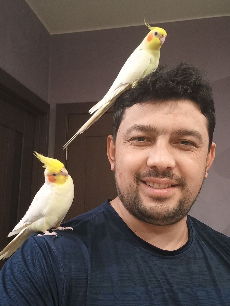 ���� 23865042 ������� ����, 33 ����, ���� ���������� � ������