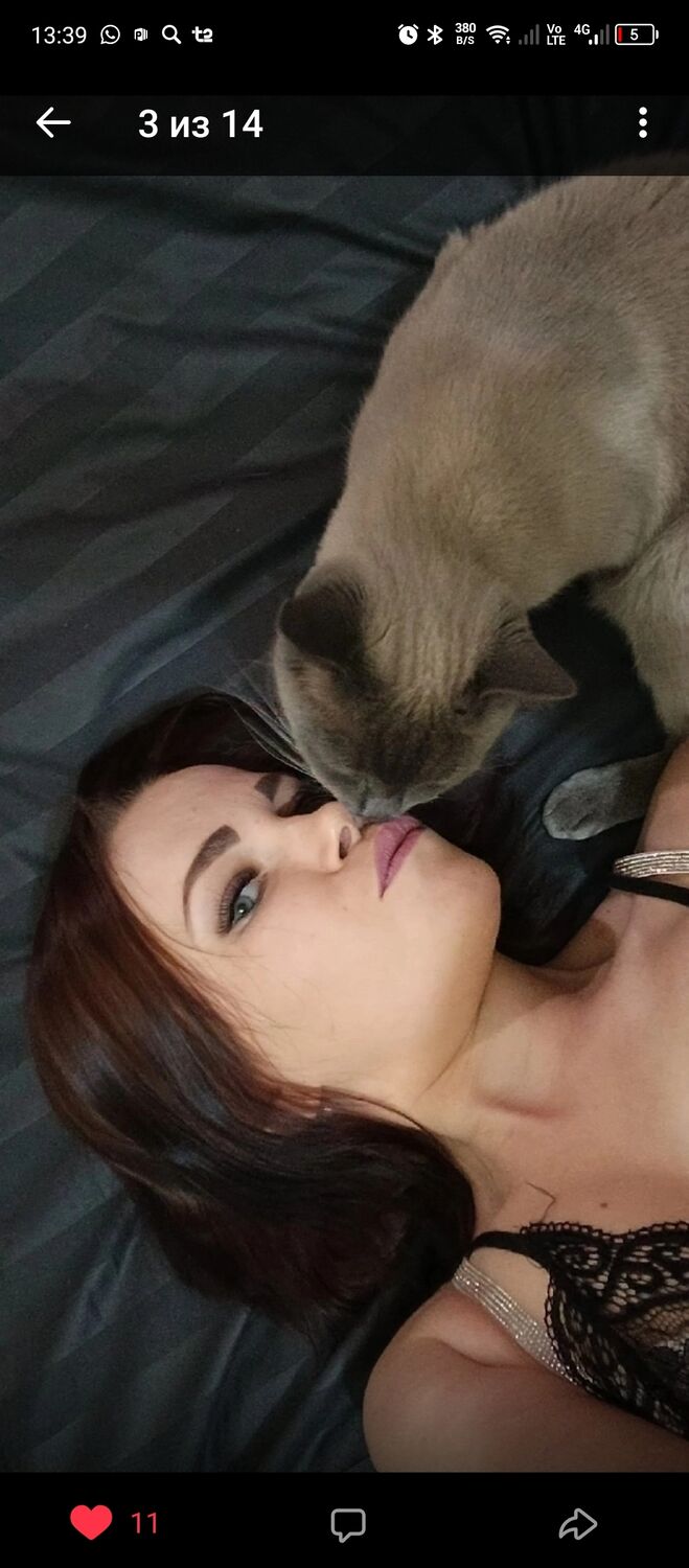 ���������� ���������, ���� ������� ��������, 32 ����, ������������ ��� ������, ����� � ���������