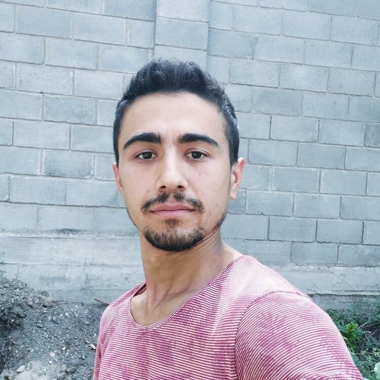  24037432  , 34 ,    -