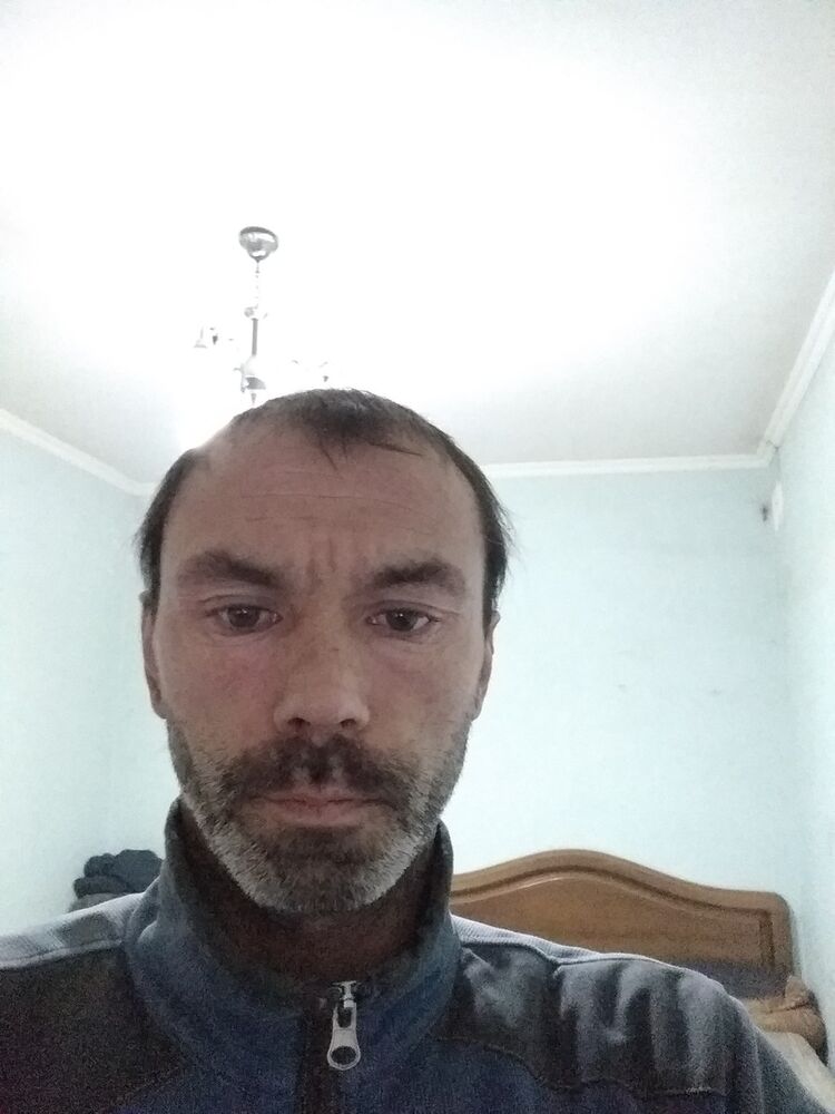  18655522  , 43 ,    