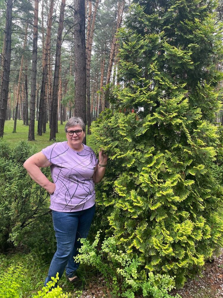 ���� 54076662 ������� �������, 62 ����, ���� ���������� � �����