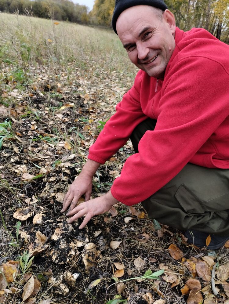 ���� 38284752 ������� �����, 43 ����, ���� ���������� � ������