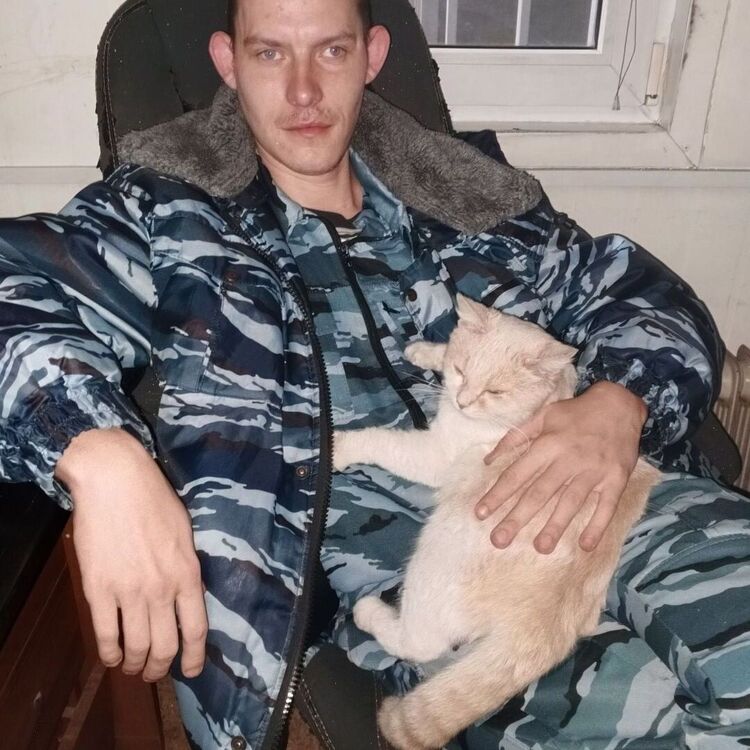 ���� 50838502 ������� ����, 33 ����, ���� ���������� � �������������