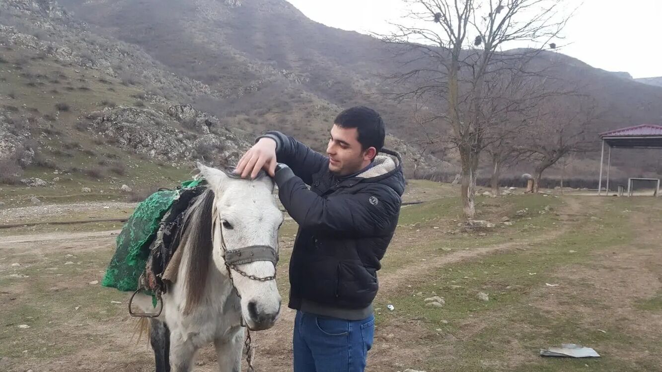  31271202  , 32 ,    -