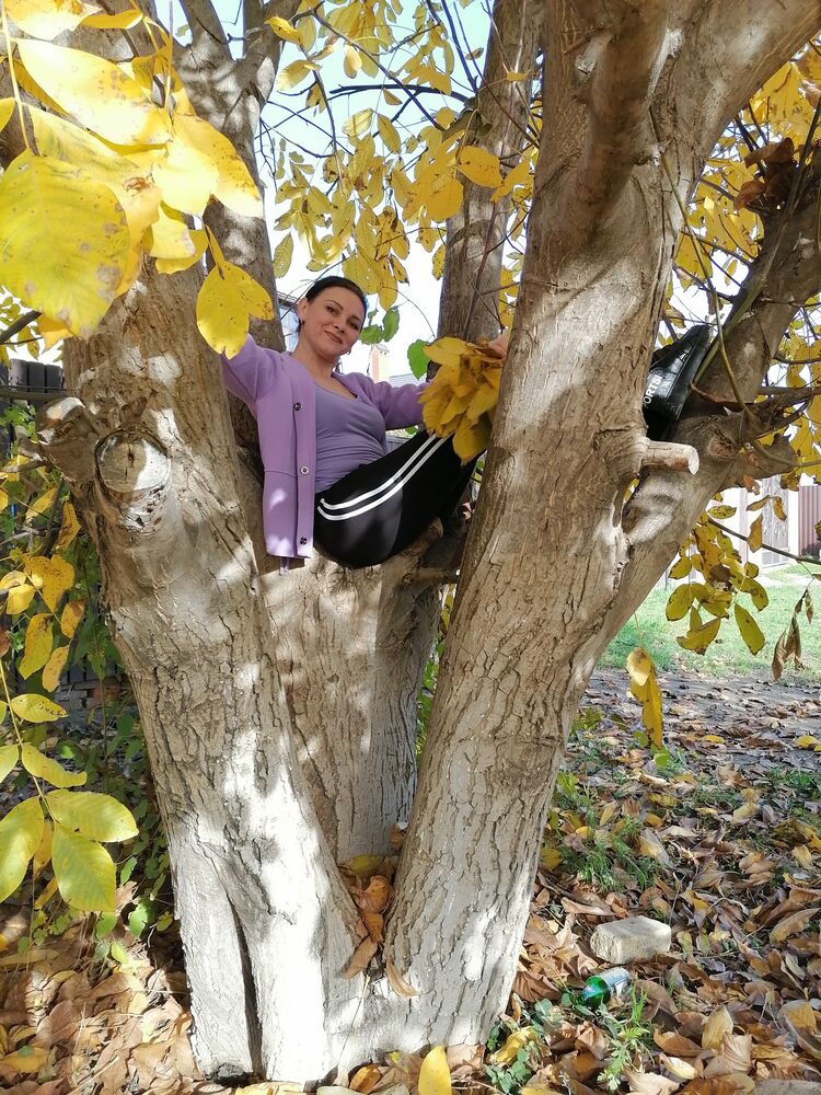 ���������� ���������, ���� ������� ����, 44 ����, ������������ ��� ������, ����� � ���������, c�������� ���������, ���������