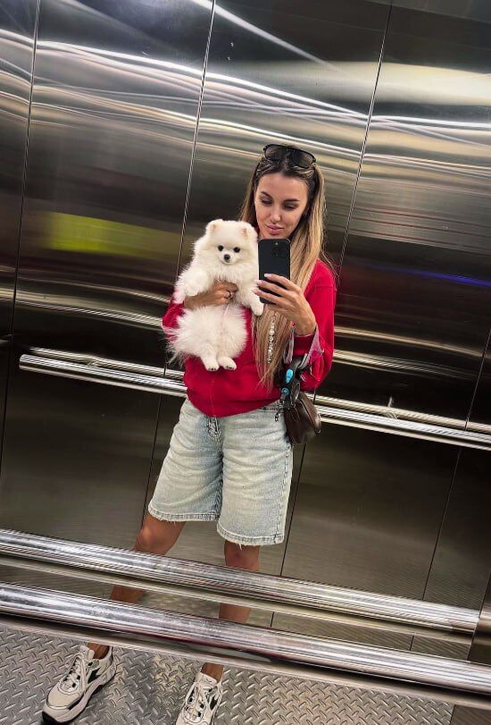 ���� 54017802 ������� ����, 33 ����, ���� ���������� � ���������