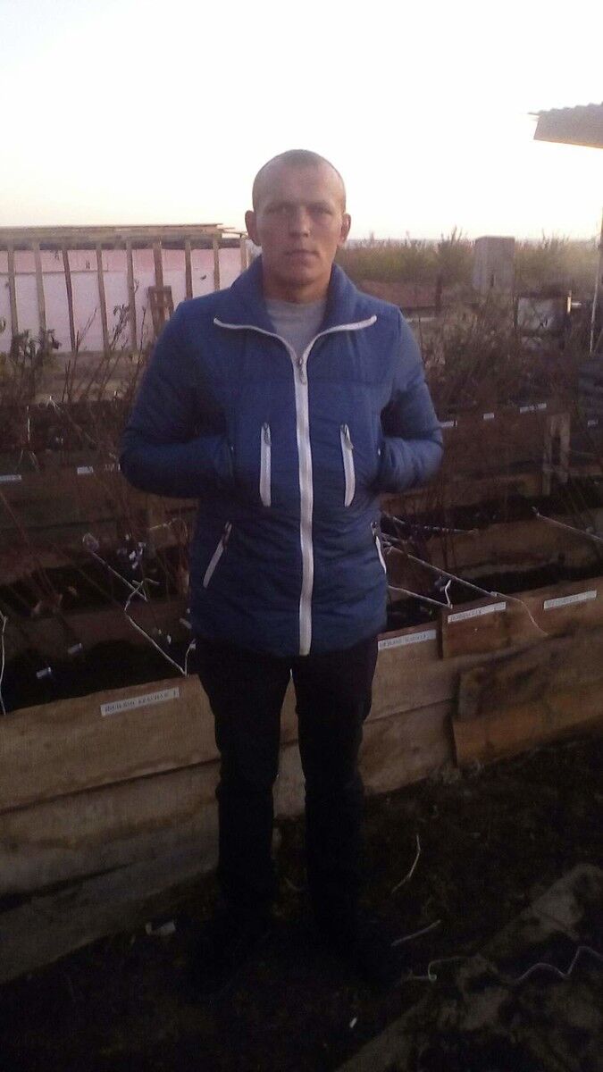  17955082  , 32 ,    