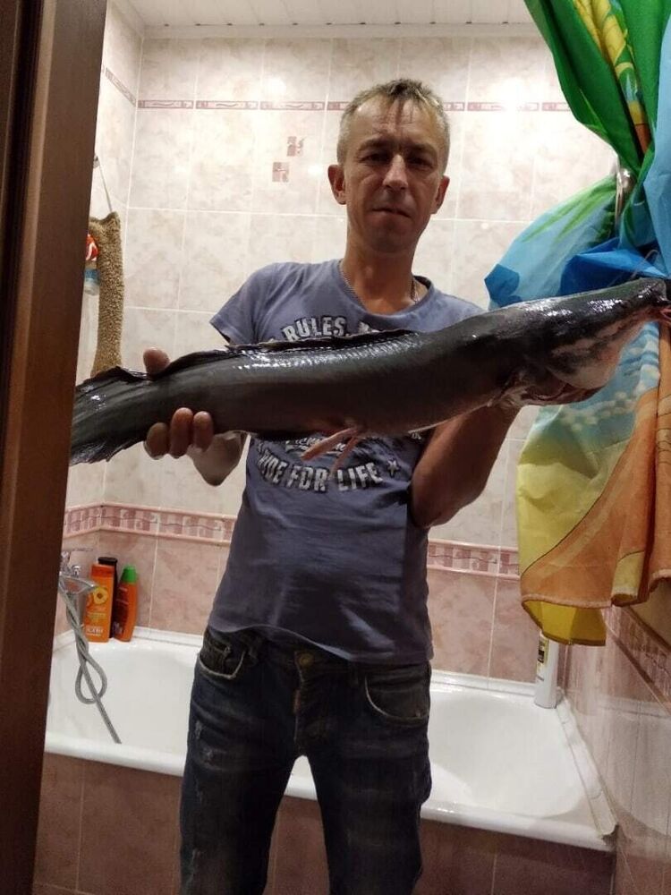  ,   , 44 ,   ,   
