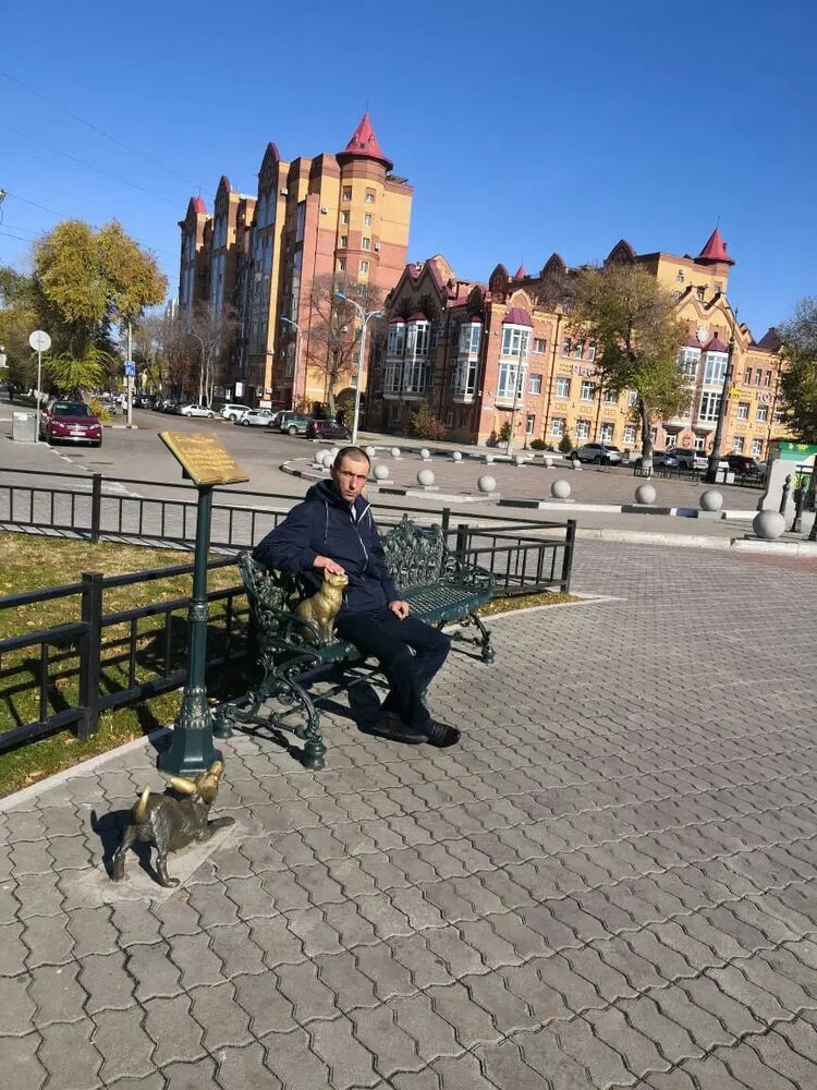  29139442  , 51 ,    