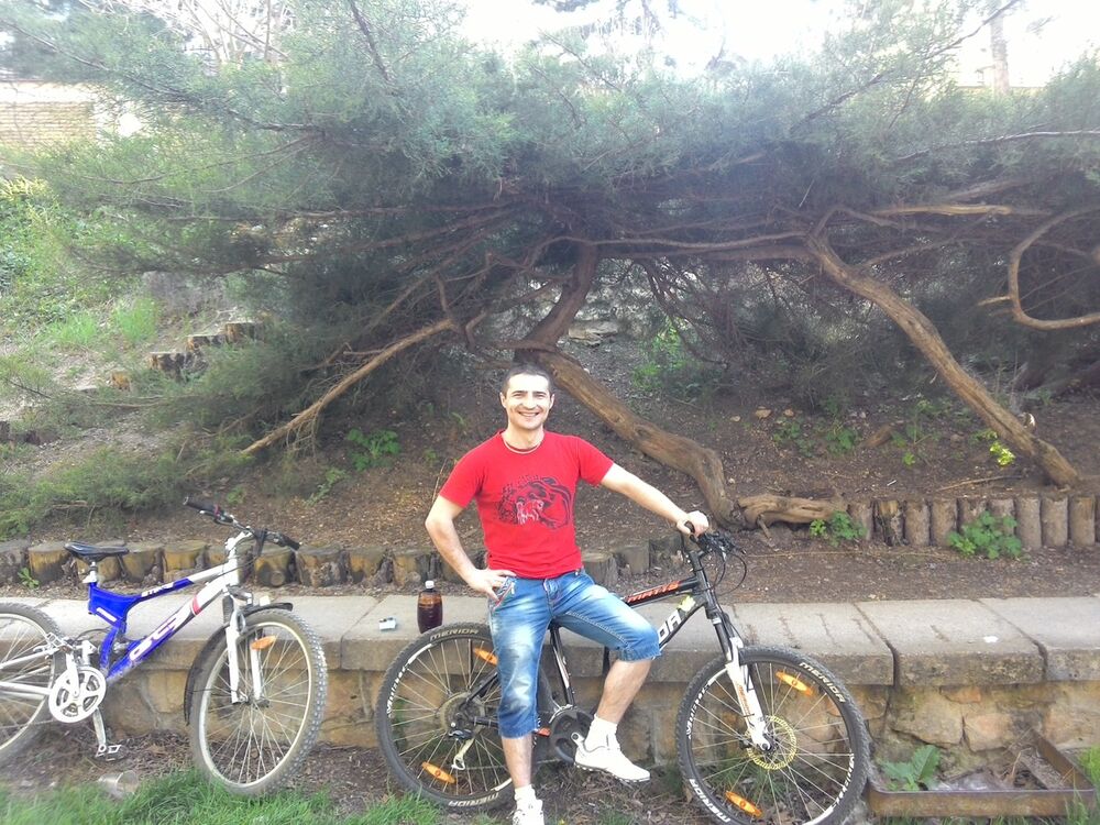 ���������� �����������, ���� ������� ��������, 38 ���, ������������ ��� ������, ����� � ���������, c�������� ���������