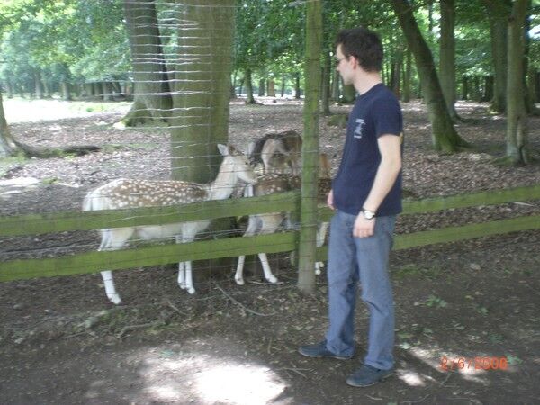 ���� 5118182 ������� ������, 46 ���, ���� ���������� � ������