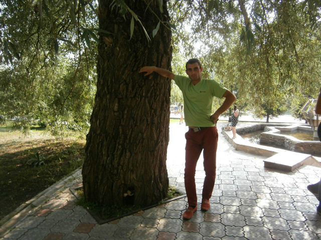 ���������� ������, ���� ������� �����, 35 ���, ������������ ��� ������, ����� � ���������, c�������� ���������