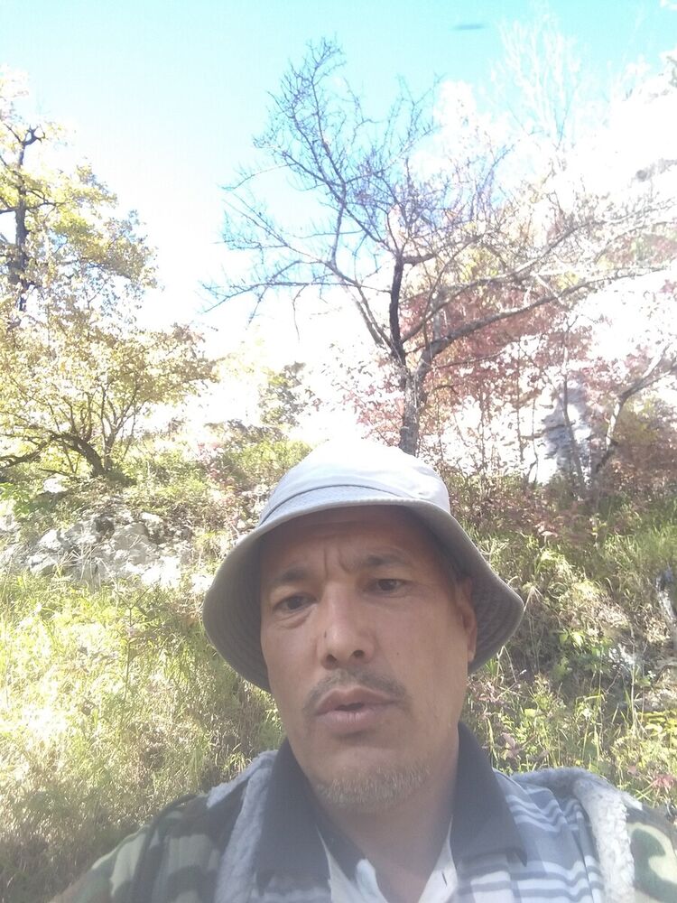 ���� 20862442 ������� ������, 48 ���, ���� ���������� � �������