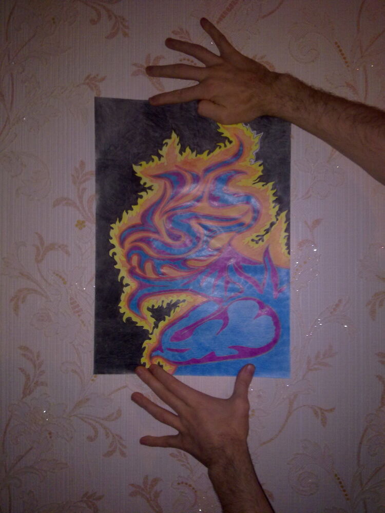 ���������� ���������, ���� ������� ����, 44 ����, ������������ ��� ������