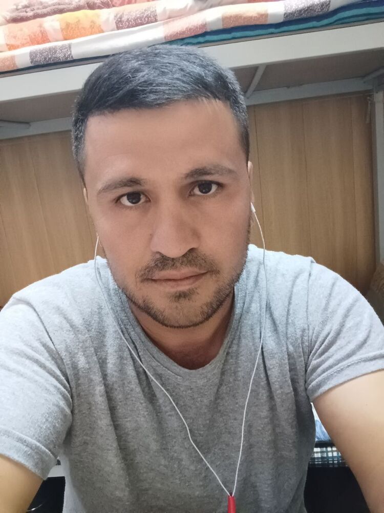  ,   SHOH, 31 ,   ,   