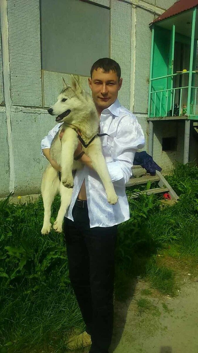 ���������� ��������, ���� ������� �������, 40 ���, ������������ ��� ������, ����� � ���������, c�������� ���������