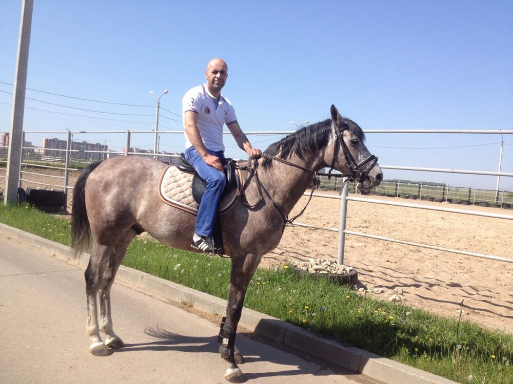 ���� 23464272 ������� ���, 45 ���, ���� ���������� � ������