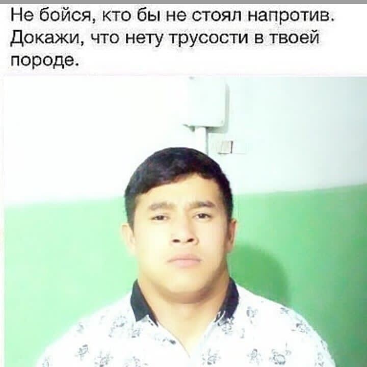  34283442  , 27 ,    