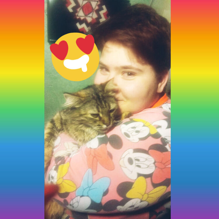 ���������� ���������, ���� ������� ����, 24 ����, ������������ ��� ������, ����� � ���������, c�������� ���������