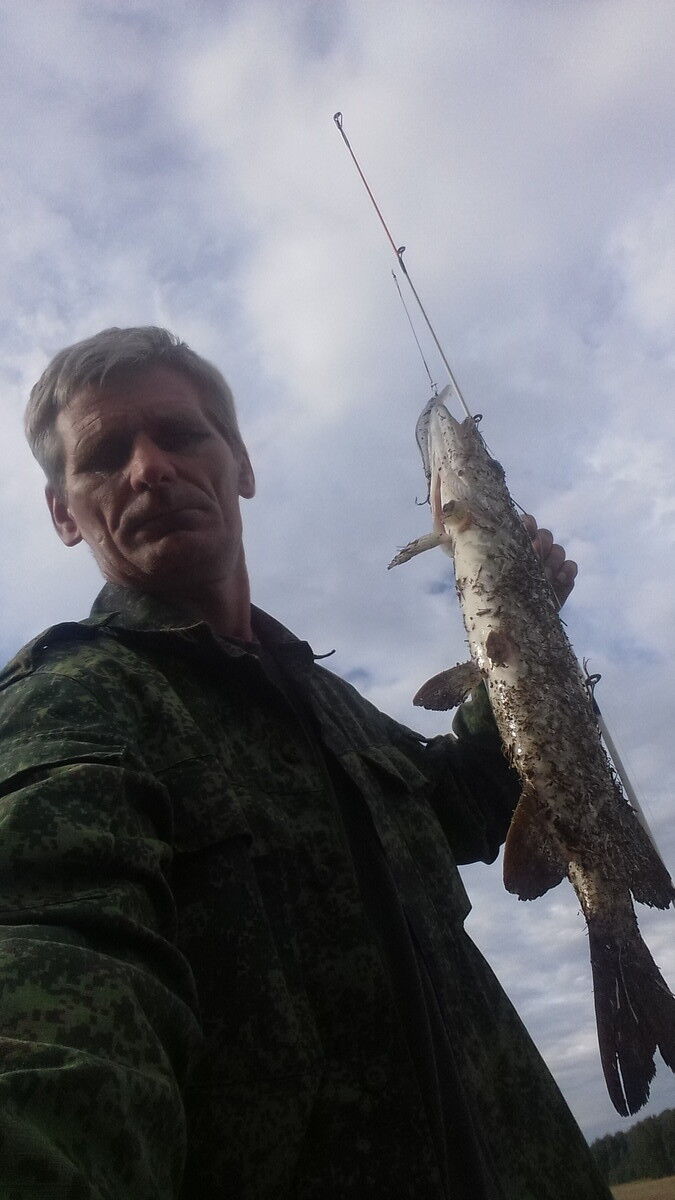 ���� 8145782 ������� ����, 57 ���, ���� ���������� � �������������