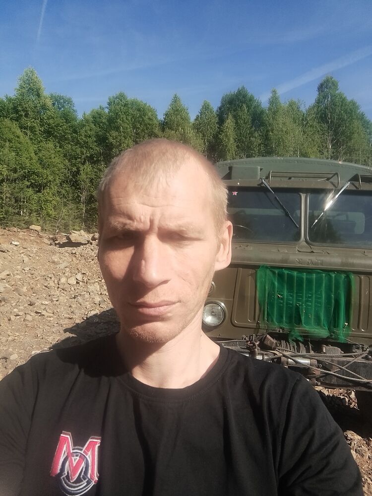  45453062  , 41 ,    