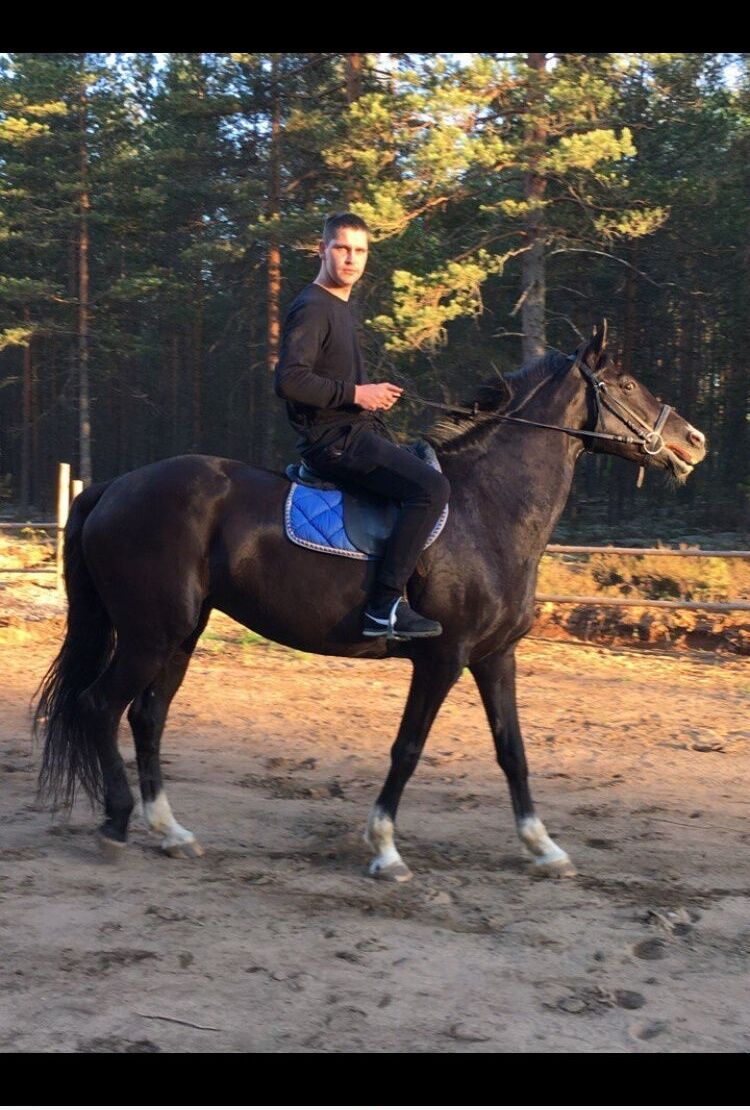 ���������� �����-���������, ���� ������� �������, 36 ���, ������������ ��� c�������� ���������