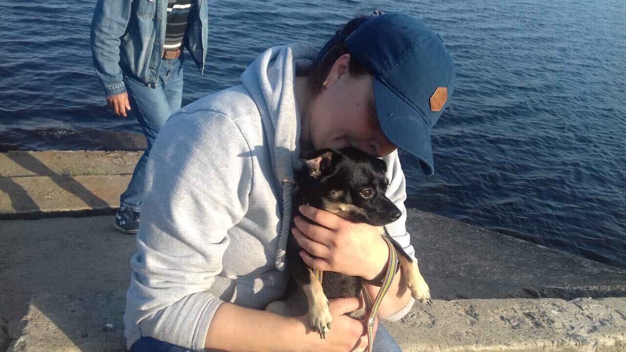 ���������� �����-���������, ���� ������� �������, 41 ���, ������������ ��� ������, c�������� ���������