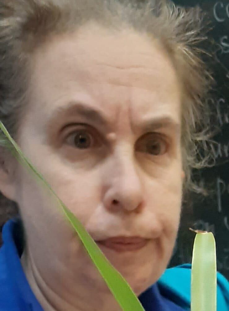 ���� 25472212 ������� �������, 54 ����, ���� ���������� � �����-����������