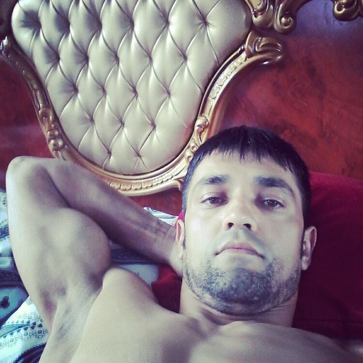 ���� 18386152 ������� Daler, 43 ����, ���� ���������� � �������