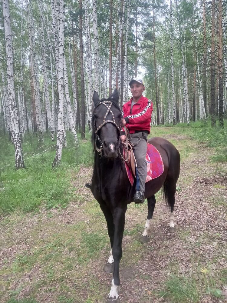 ���� 28182642 ������� �������, 38 ���, ���� ���������� � �������������