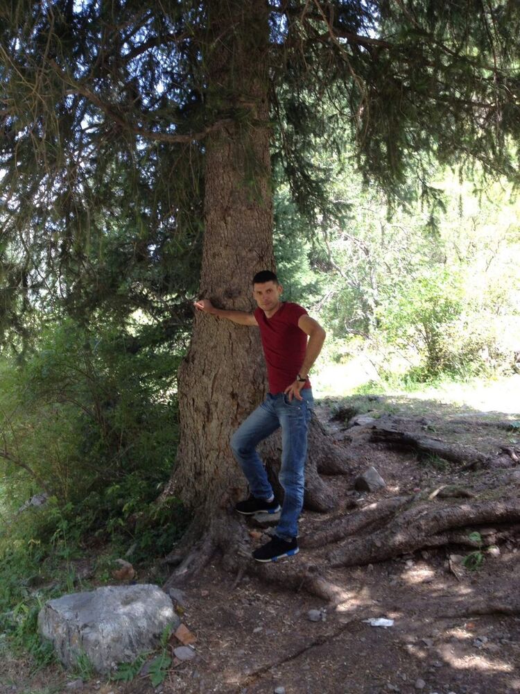 ���������� ������, ���� ������� ������, 43 ����, ������������ ��� ������, ����� � ���������, c�������� ���������