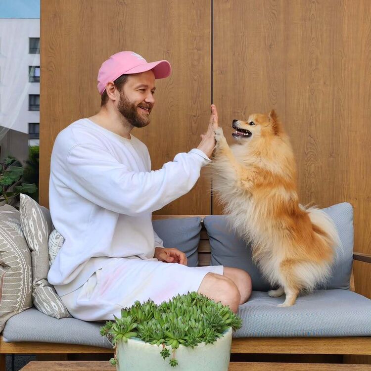  52131592  , 40 ,    -