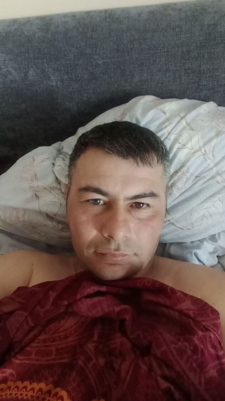  33780772  , 26 ,    