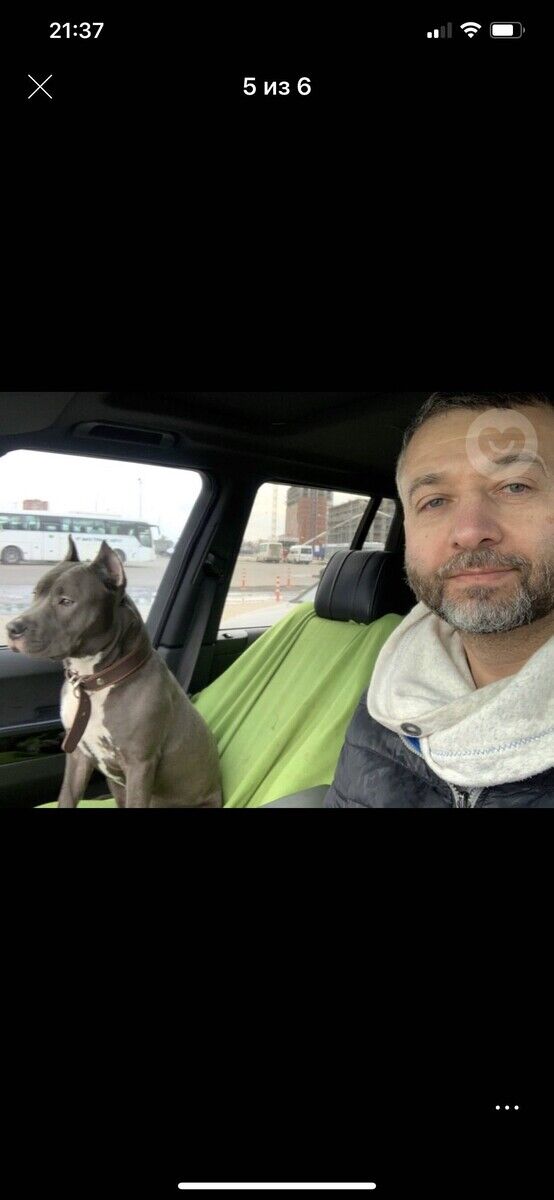 ���������� ������, ���� ������� ���������, 55 ���, ������������ ��� ����� � ���������, c�������� ���������