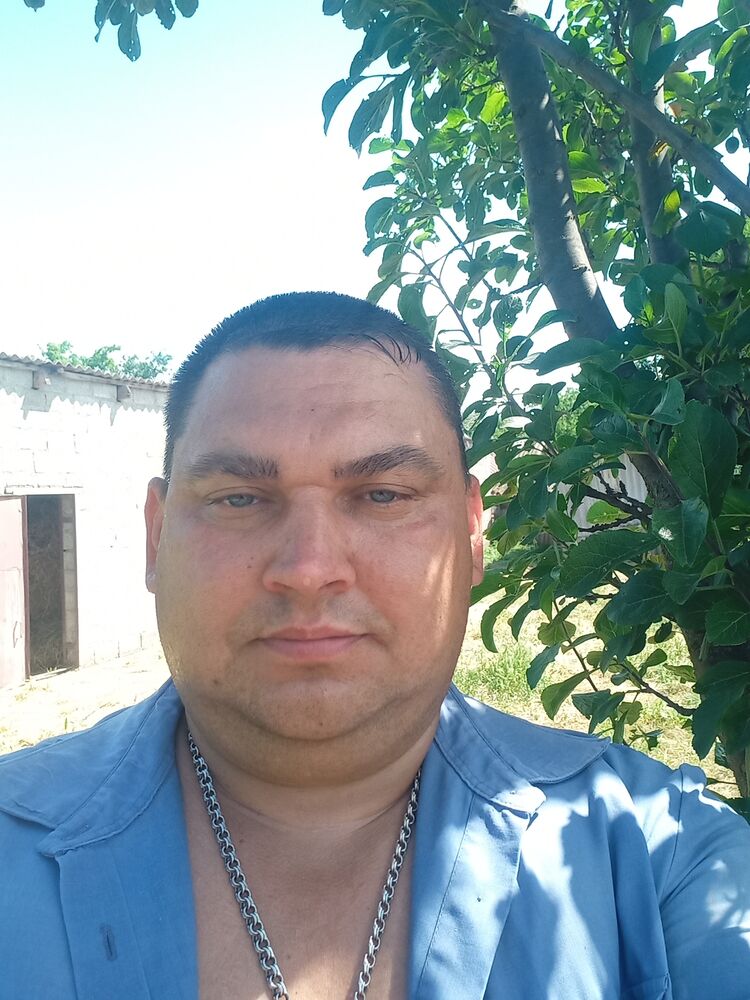  29279202  , 46 ,    