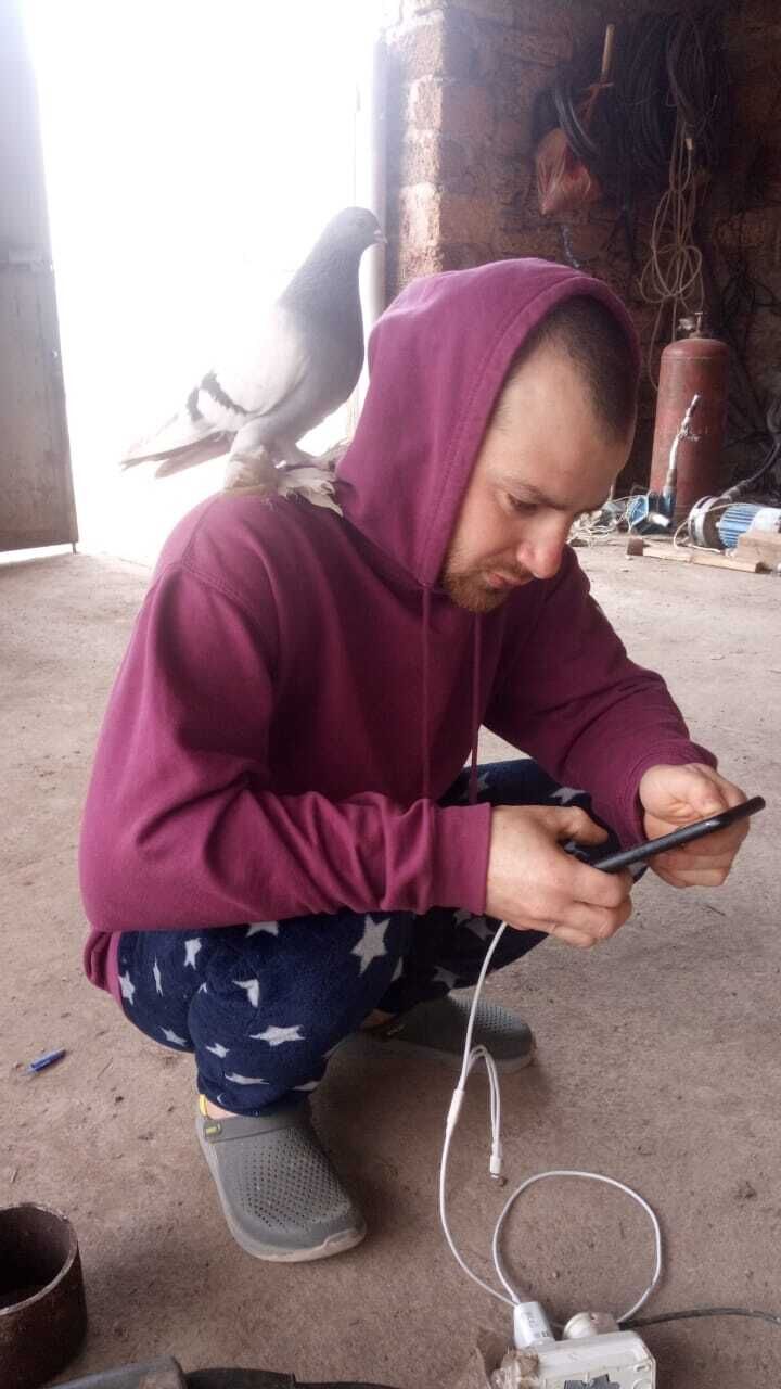 ���� 28986362 ������� �������, 32 ����, ���� ���������� � �����������