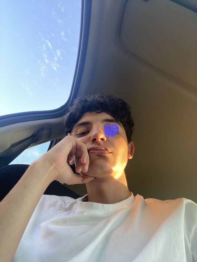 ���������� ������, ���� ����� Fel, 24 ����, ������������ ��� ������, ����� � ���������