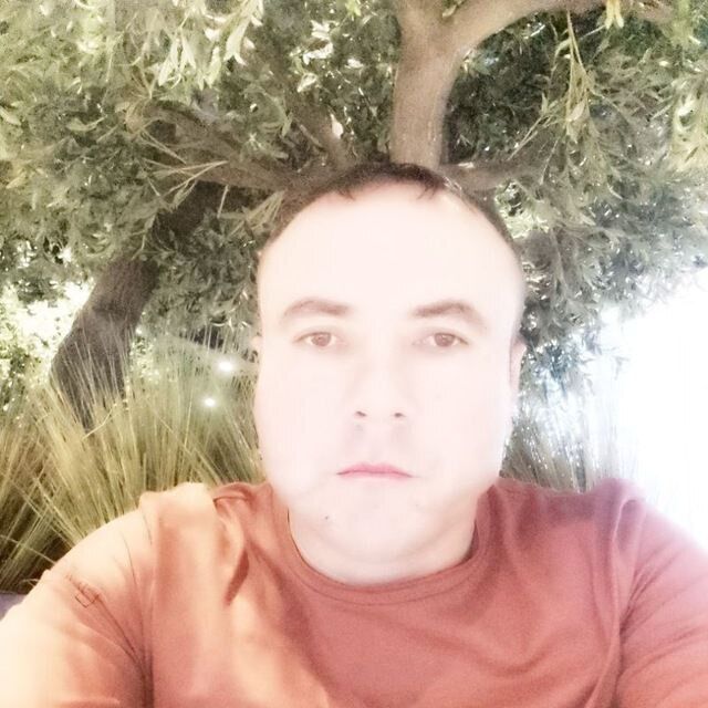  34373852  , 39 ,    