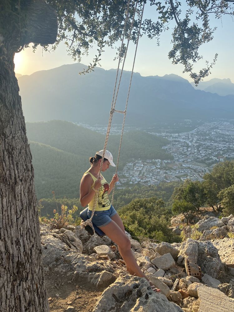  24482802  , 40 ,    -